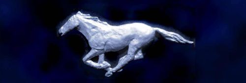 Ponysite.de - self made tin horse in the 70ies